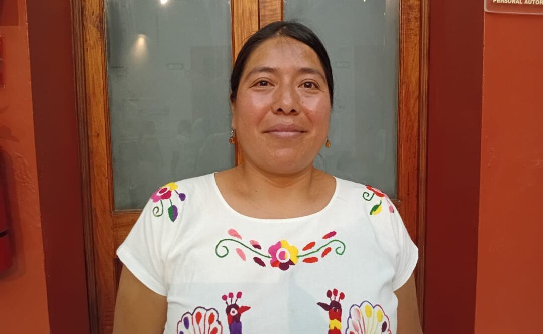 Rosalinda Dionisio Sánchez fue una de las defensoras del territorio víctima de un atentado. Foto: Juan Carlos Zavala