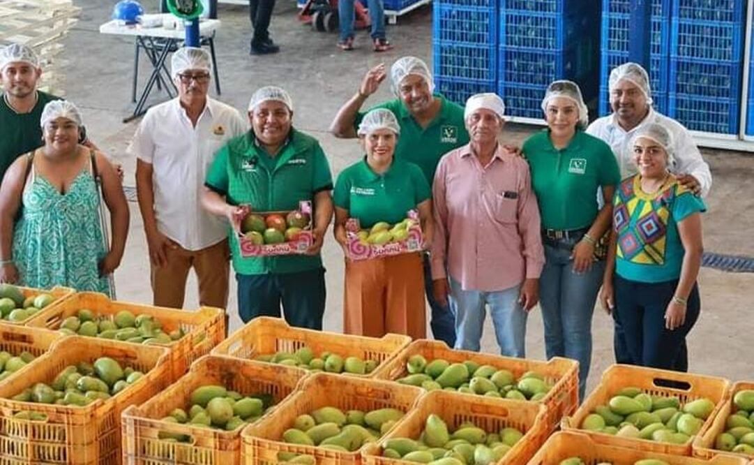 Candidatos de Morena en Chahuites y Tapana analizan pedir protección, tras asesinato de edil en Oaxaca. Foto: Especial