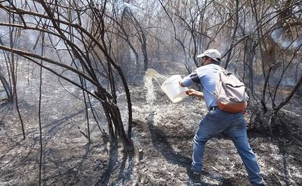 Registra Oaxaca 79 incendios forestales acumulados en 2025 y 8 mil 500 hectáreas afectadas
