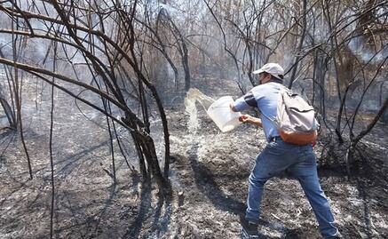 Registra Oaxaca 79 incendios forestales acumulados en 2025 y 8 mil 500 hectáreas afectadas