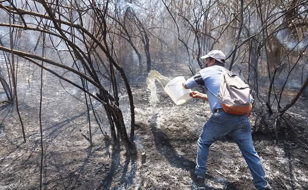 Los fuertes vientos han expandido los incendios. Foto: Edwin Hernández EL UNIVERSAL