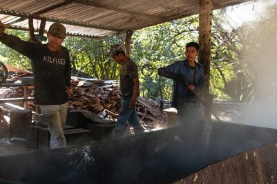 Trapiches y caña de azúcar, tras vencer a la migración, este oficio tradicional resurge en la Sierra sur de Oaxaca
