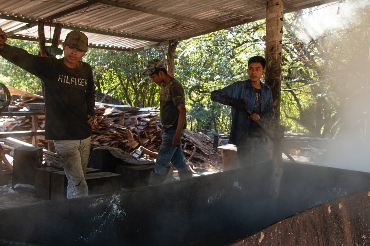 Fotos: Juana García
