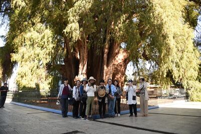 Atrae a japoneses oferta turística de Oaxaca