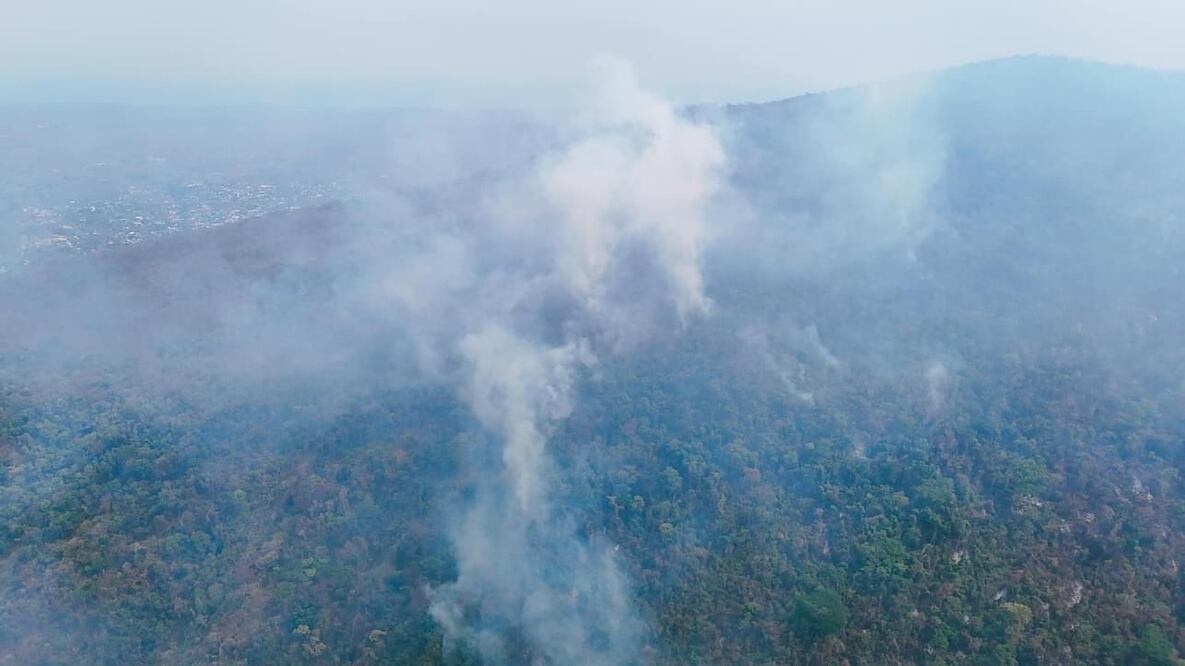 Fuego sigue sin control en Mitla y Díaz Ordaz; 24 incendios activos consumen bosques de Oaxaca. Foto: Especial