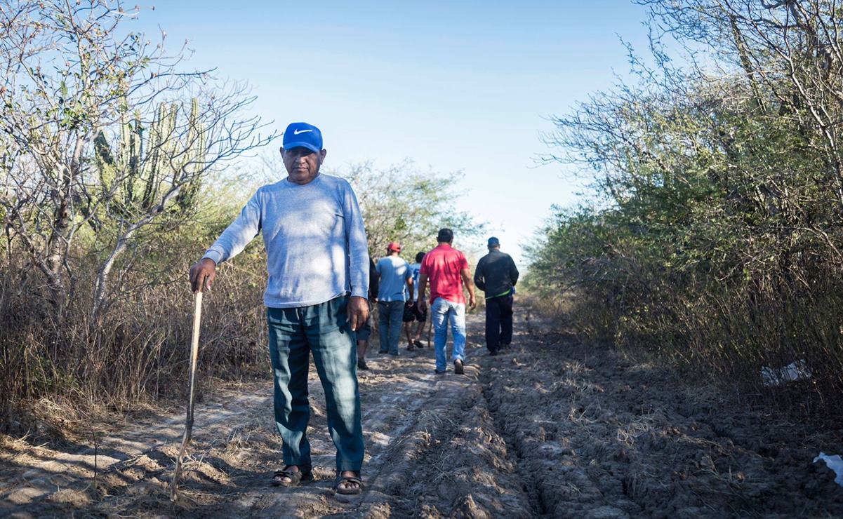 Corredor Interoceánico detonó conflictos internos en 8 comunidades indígenas de Oaxaca