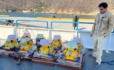 Con equipos japoneses, estudian sismos en costas de Oaxaca y el océano Pacífico para reducir riesgos futuros