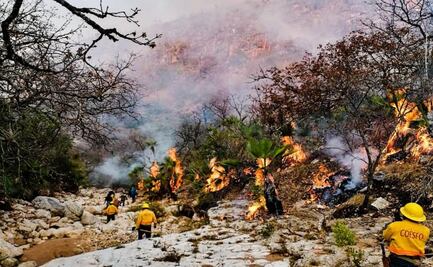 Tras 6 días de combate, liquidan al 100% incendio forestal en Jaltepec, en la Mixteca de Oaxaca