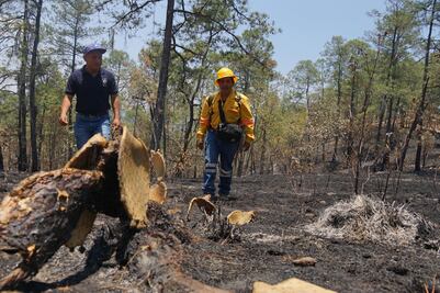 Por 260 pesos arriesgan la vida entre el fuego