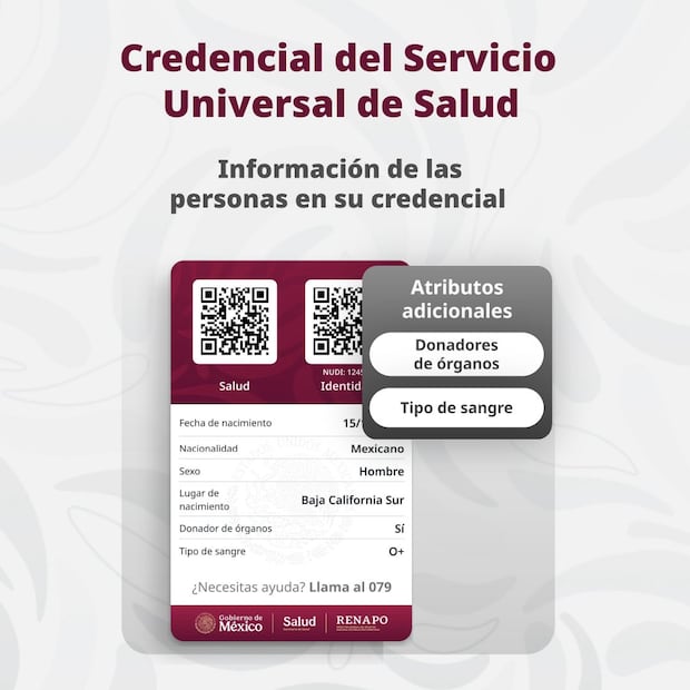 Credencial del Servicio Universal de Salud reverso. Foto: Gobierno Federal.