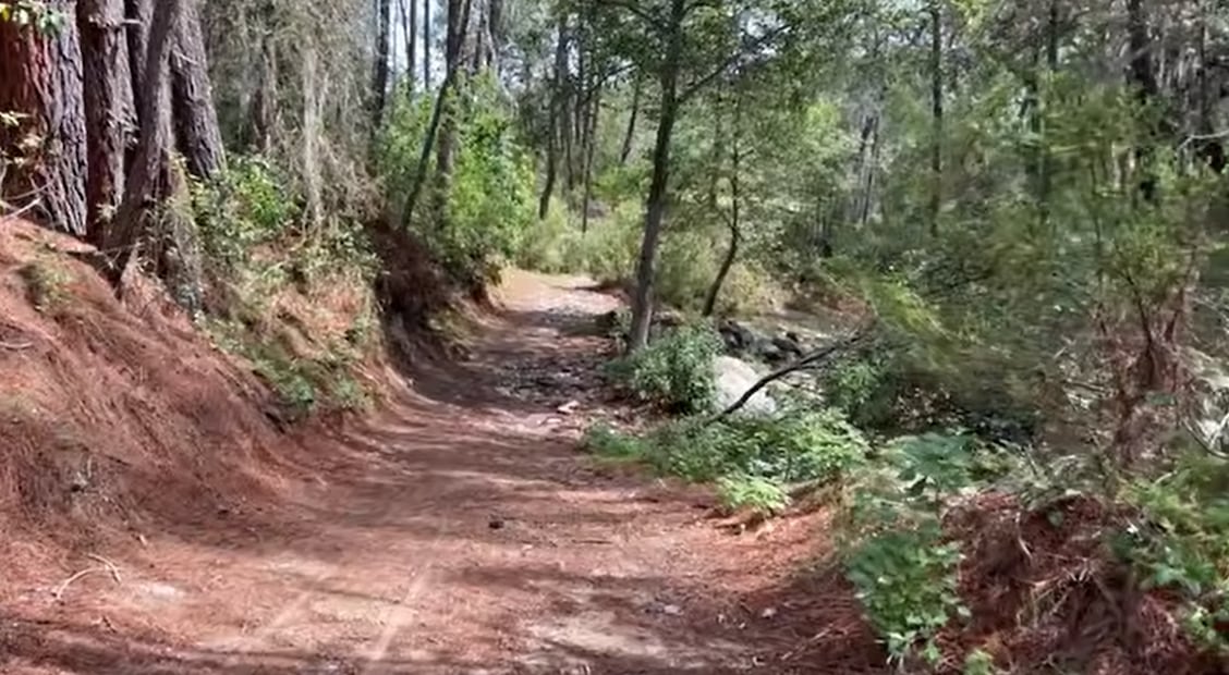 Zona boscosa de los Álamos en Tlaxiaco, Oaxaca. Foto: Captura de YouTube@LeninPineda