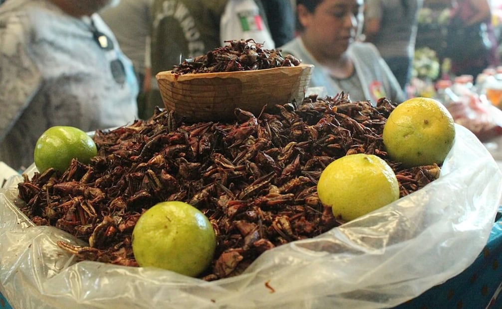 Estos ingredientes oaxaqueños los puedes comer como botana o incluirlo en tus platillos. Foto. Wikimedia Commons