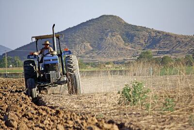 PRI oaxaqueño se opone a recorte al campo de 29% que pide AMLO para 2020