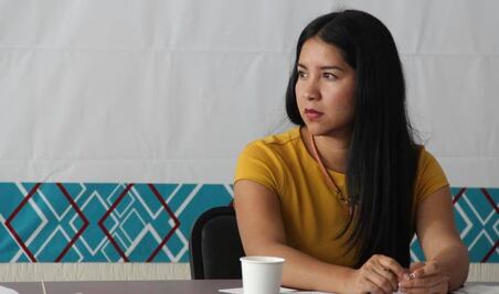 Exigen diputados frenar violencia política contra la morenista Elisa Zepeda