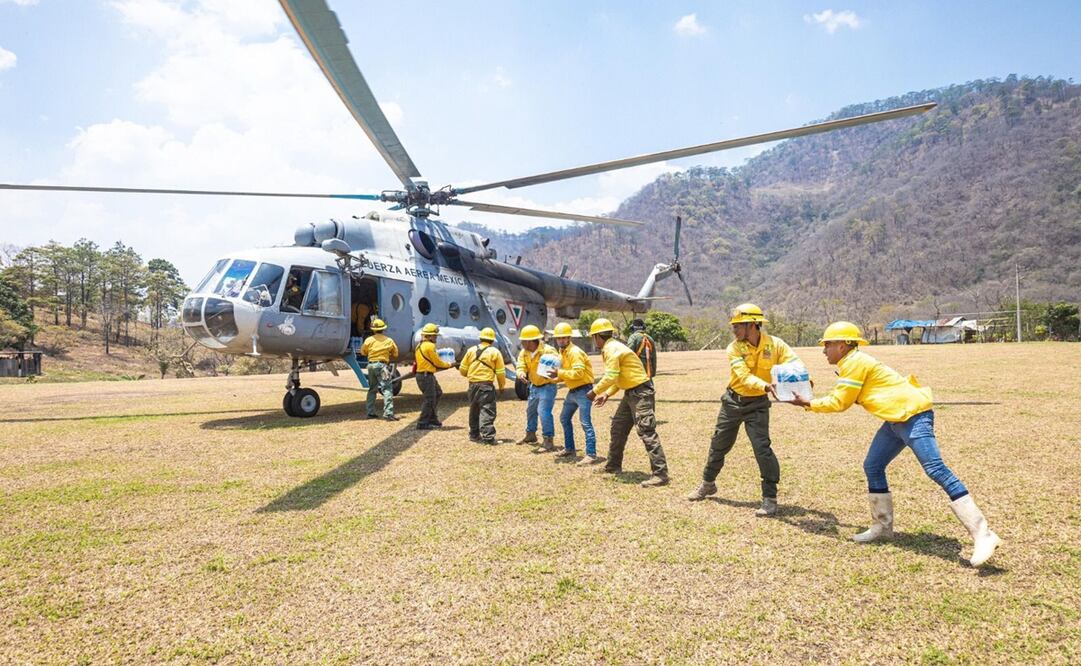 Tras 33 días, reportan como liquidados al 100%  incendios forestales en Los Chimalapas, Oaxaca. Foto: Especial