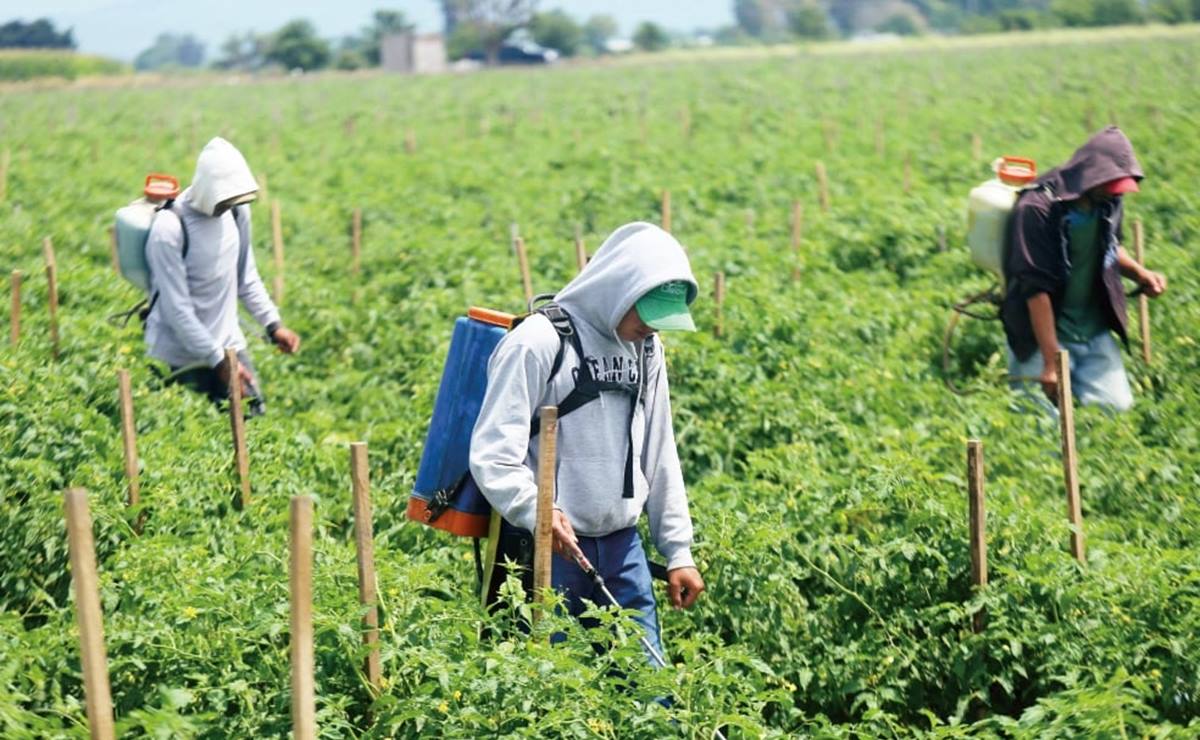 Familia de migrante muerto en EU, sin apoyo para traslado del cuerpo “por cambio de gobierno” en Oaxaca