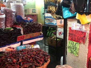 Huajuapan, listo para  sumarse a la "ola verde"