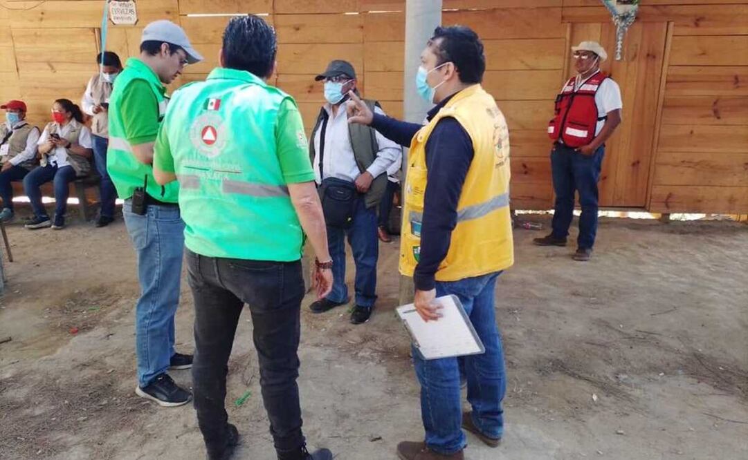 Brigadas toman muestras a murciélagos y buscan más casos de rabia en la Sierra Sur de Oaxaca. Foto: Especial