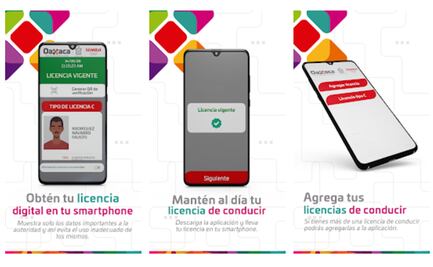 Licencia de conducir 2020 en Oaxaca: cómo tramitar, renovar o reponer