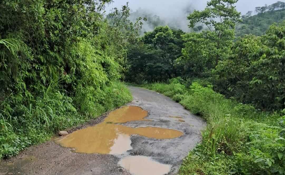 Caminos del Istmo de Oaxaca afectados por las fuertes lluvias. Foto: Especial