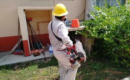 Además de la pandemia, Vectores libran otra batalla en defensa de su estructura laboral