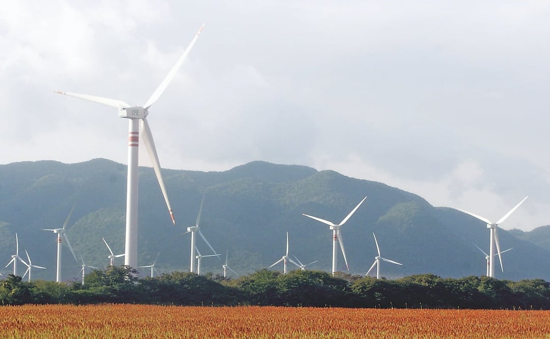 Foto: Archivo EL UNIVERSAL