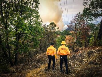 Dañan 186 incendios más de 11 mil hectáreas en Oaxaca