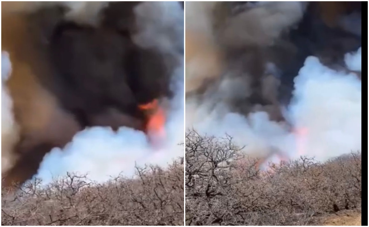 Arde Oaxaca: No cede incendio de San Miguel Etla; fuego amenaza a Centro de las Artes de San Agustín