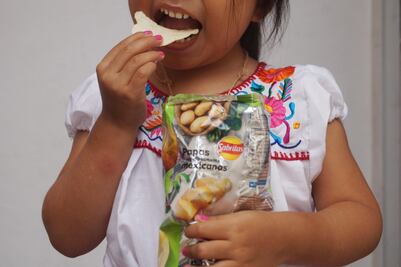 Pide Congreso a Murat difundir en los 570 municipios prohibición de vender “chatarra” a niños