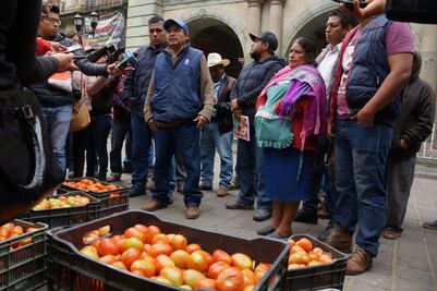 Tomateros piden espacios dignos de venta y llevan producto al zócalo