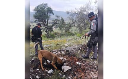 Descarta fiscalía de Oaxaca que restos hallados en la Mixteca sean de la defensora Irma Galindo