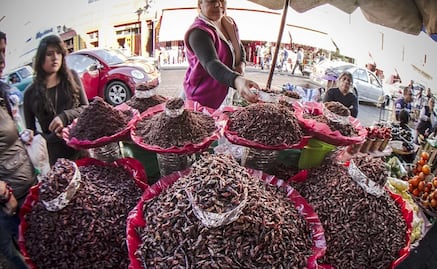 3 ingredientes exóticos de la cocina oaxaqueña que debes probar en tu próxima visita