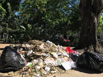 Suman tres días sin servicio de recolección; capital, un basurero