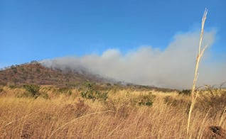Incendio y suspensión de servicio eléctrico asolan a municipios del Istmo ante rachas de viento por frente frío 32