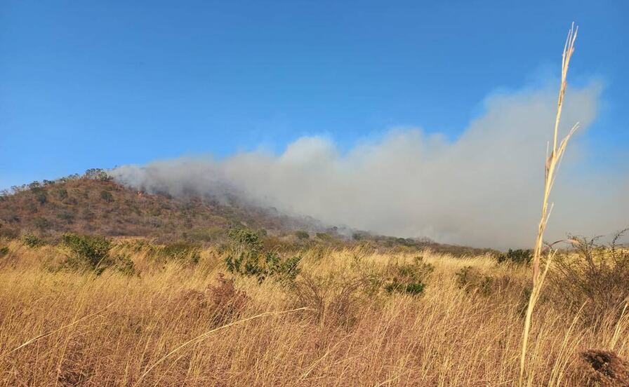 Incendio y suspensión de servicio eléctrico asolan a municipios del Istmo ante rachas de viento por frente frío 32