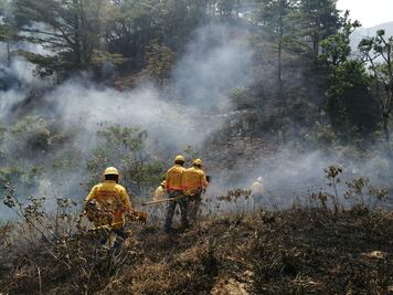 Por incendios forestales, Oaxaca solicita Declaratoria de Emergencia para nueve municipios más