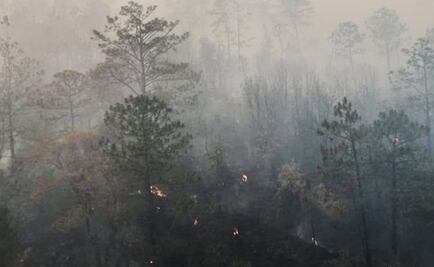 Acusan “grupos de choque” de Villa Sola de Vega de provocar incendios forestales