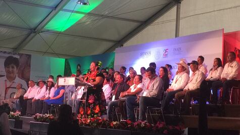 “¡Arriba Oaxaca! ¡No están solos, estamos con ustedes!” gritan en Cdmx