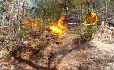 Controlan al 100% incendio en la Mixteca de Oaxaca donde murieron 4 persona; hay dos más desaparecidas