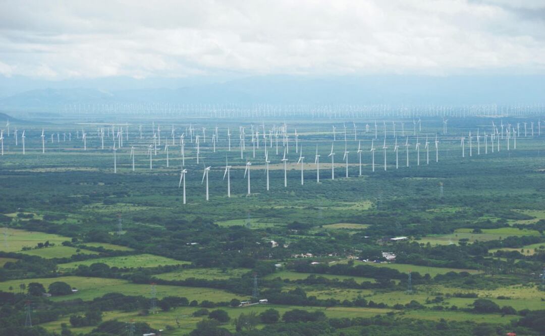 Foto: Archivo EL UNIVERSAL