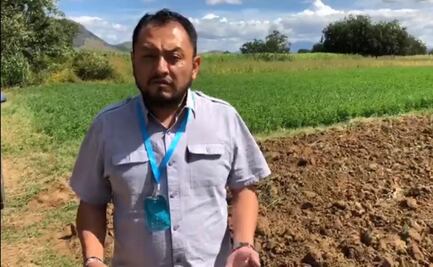 Reconoce tribunal estatal a Sesul Bolaños como secretario general de Morena Oaxaca