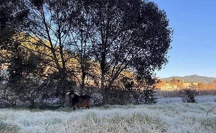 Amanecen a -2 grados en la Mixteca; autoridades recomiendan evitar uso de anafres por intoxicación