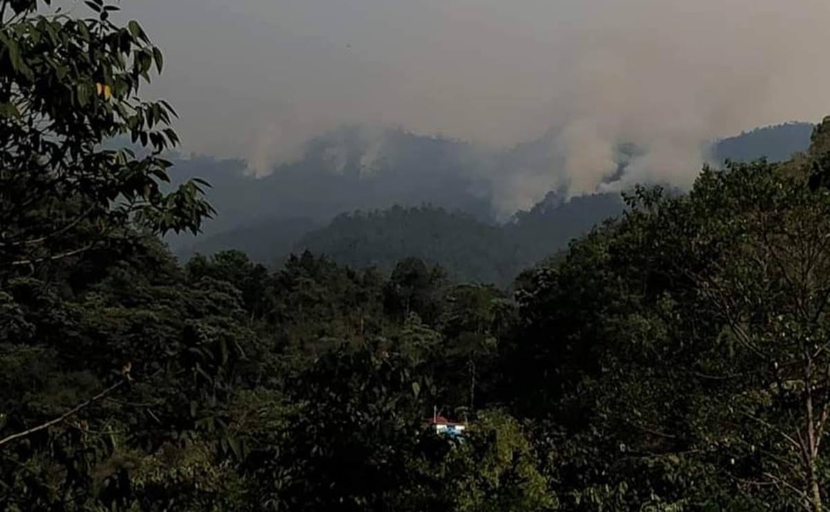 Comunidades mazatecas de Oaxaca suplican auxilio ante incendio forestal sin control; amenaza viviendas