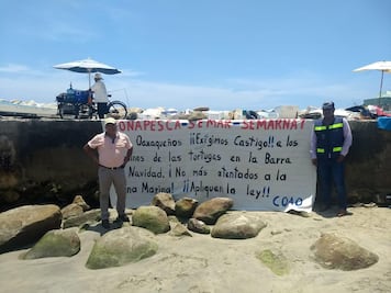 Protestan ambientalistas por muerte de tortugas en costa de Oaxaca