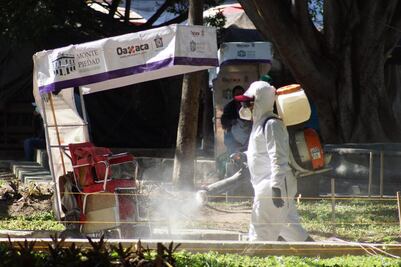 En las últimas 24 horas, 68 municipios de Oaxaca reportan nuevos casos de Covid-19; estado sigue en naranja