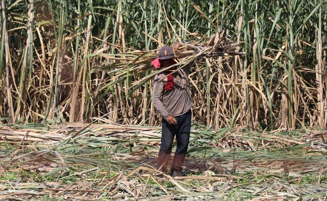 Trabajando de madrugada y sin hielo, así resisten 50 grados de calor en Tuxtepec, Oaxaca. Foto: Antonio Mundaca