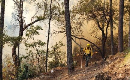 Reportan 90% de liquidación de incendio en Quiotepec y 60% en Ayoquezco, Oaxaca