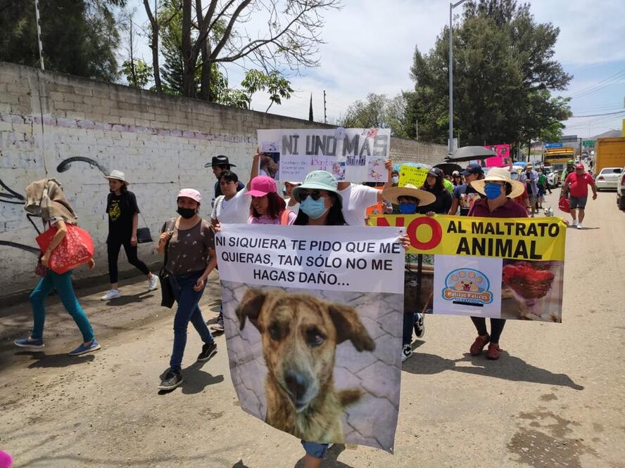 Foto: Mario Arturo Martínez