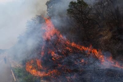 Declaratoria de emergencia para 11  municipios por incendios forestales