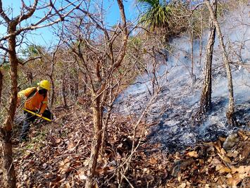 Suma Oaxaca 96 incendios forestales, 16 de pastizales y más de 13 mil hectáreas afectadas 